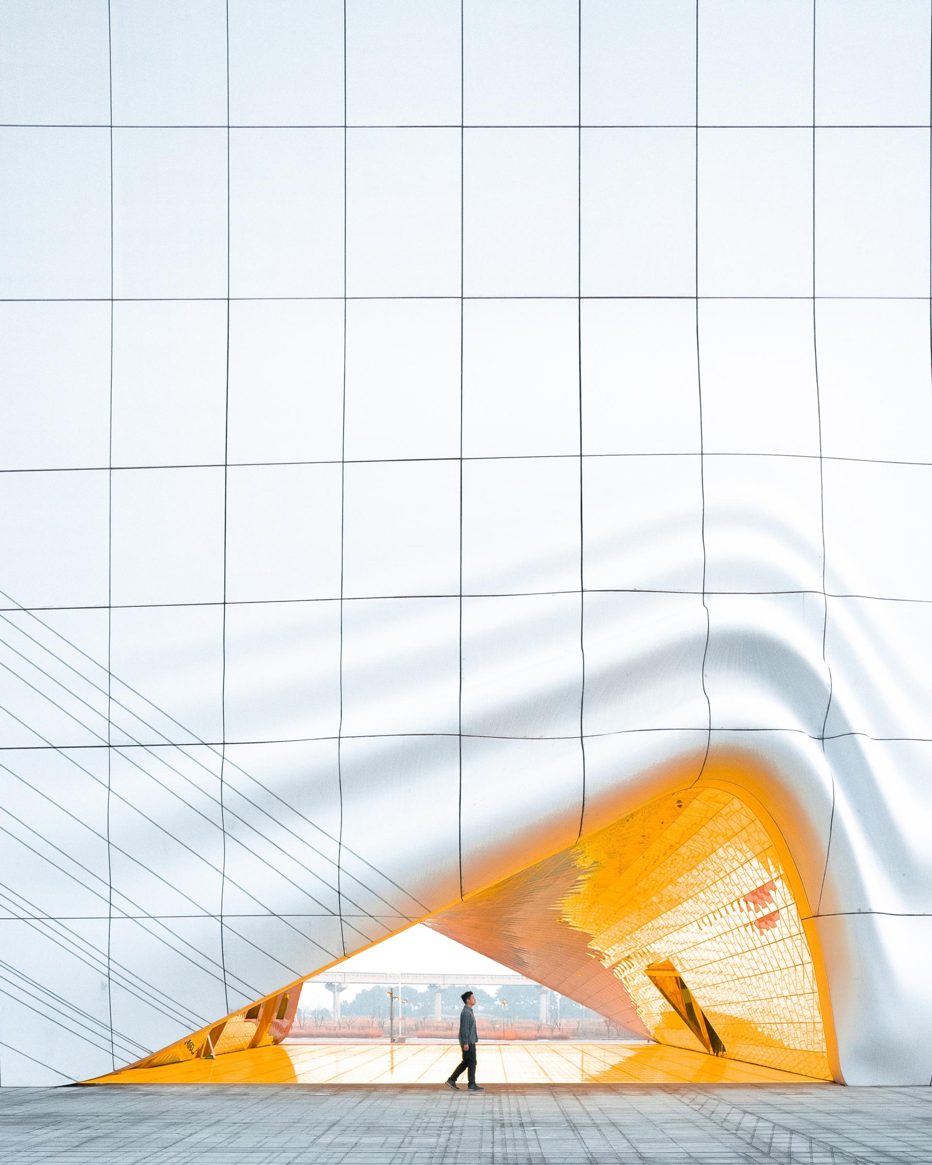 Global Photography Awards Winner - Sunny Side-Up
