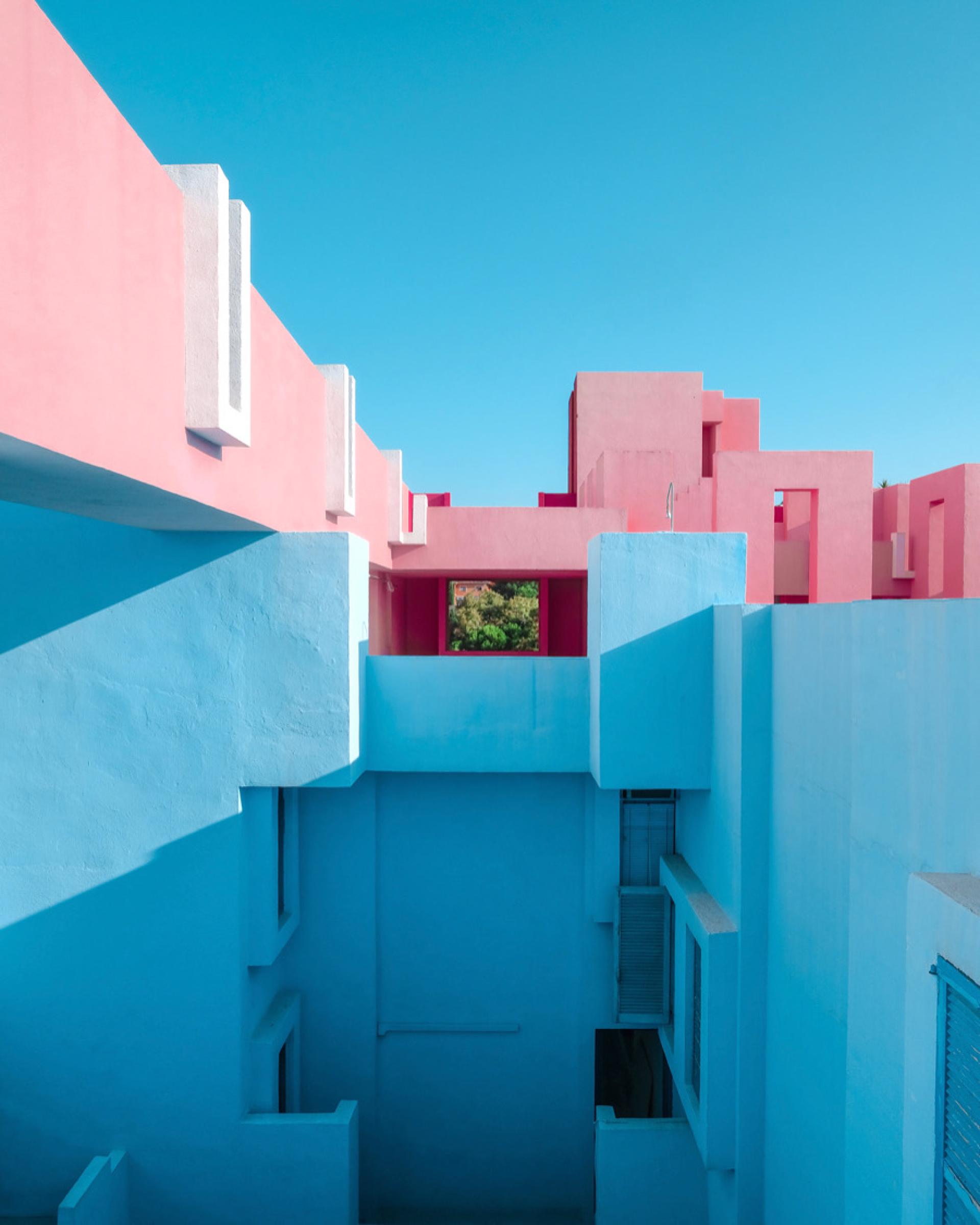 Global Photography Awards Winner - Mid-Summer Day's Dream