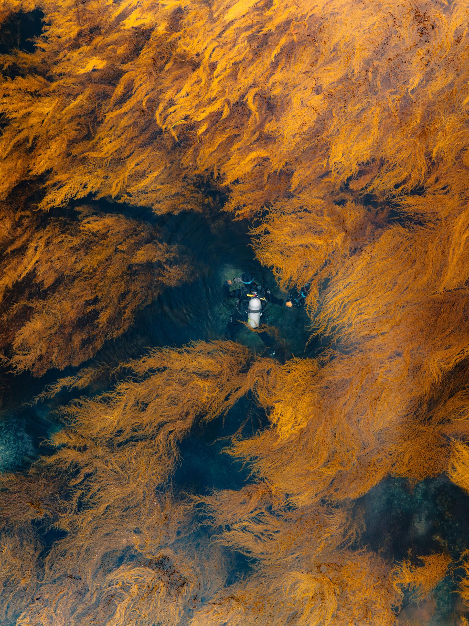 Global Photography Awards Winner - Lost in the Sea