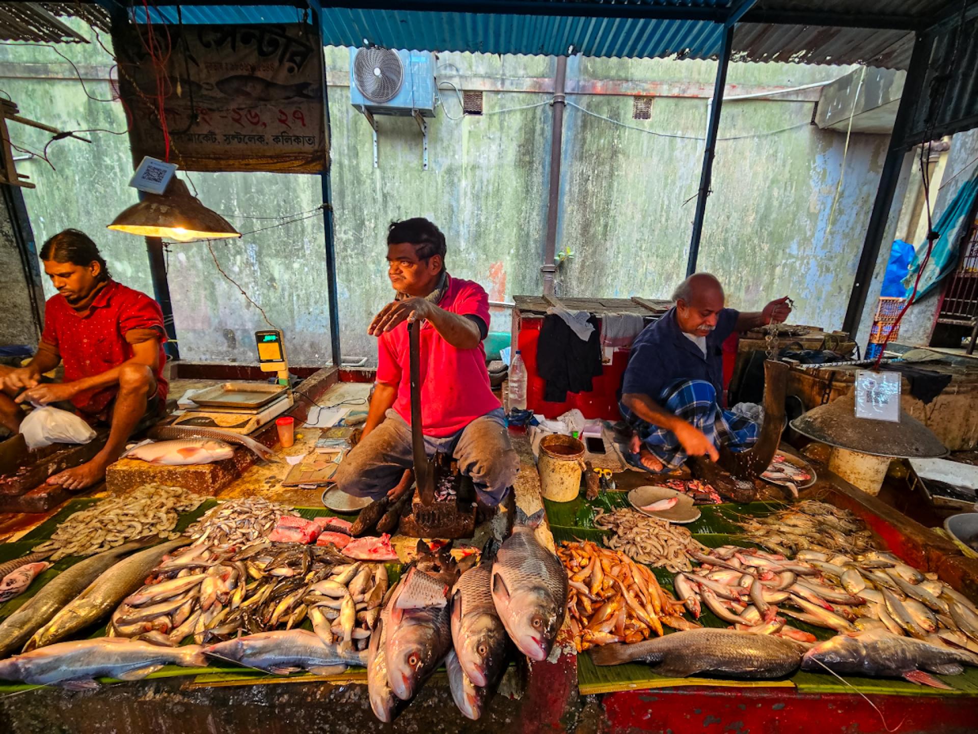 Global Photography Awards Winner - At the Fish Market